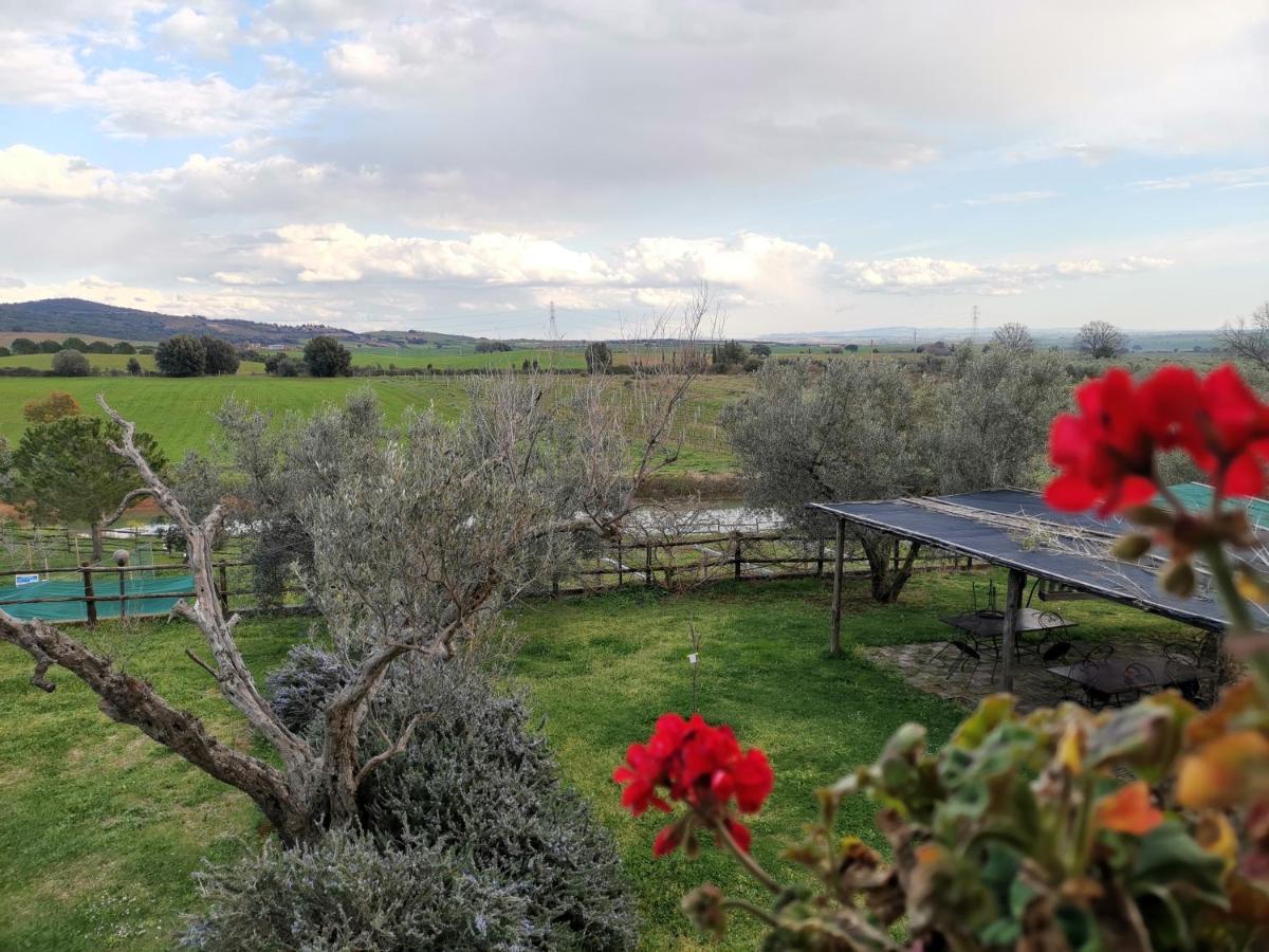Agriturismo La Svolta Manciano Exterior foto