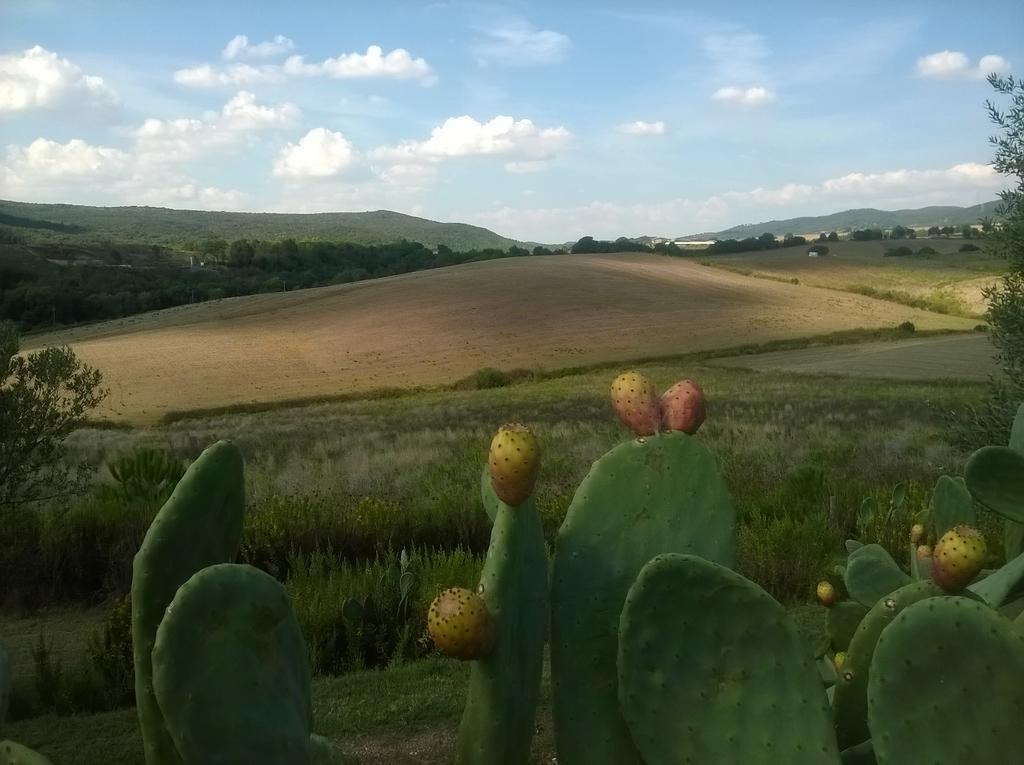 Agriturismo La Svolta Manciano Exterior foto