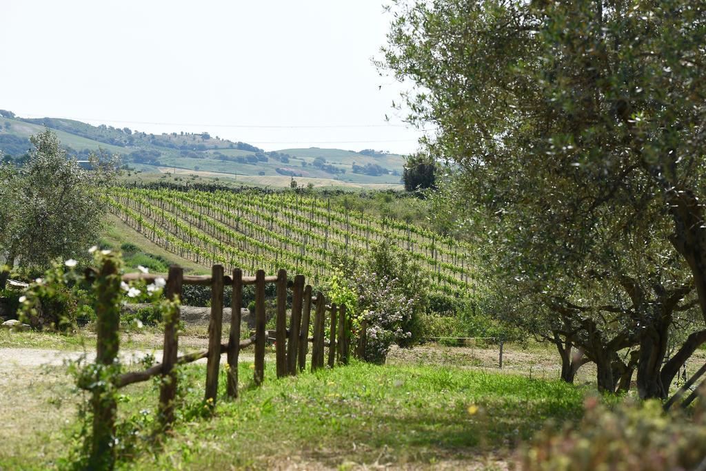 Agriturismo La Svolta Manciano Exterior foto