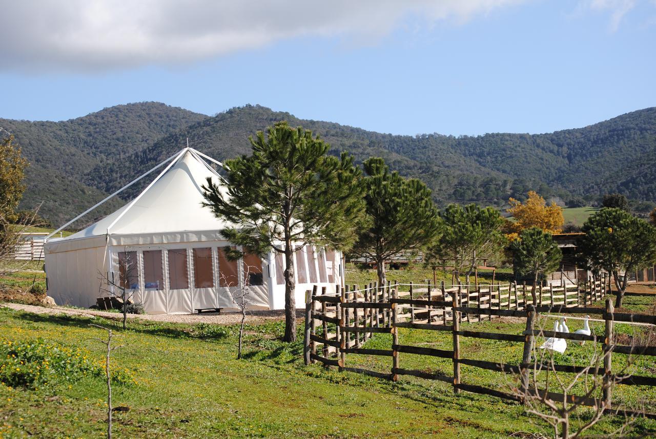 Agriturismo La Svolta Manciano Exterior foto